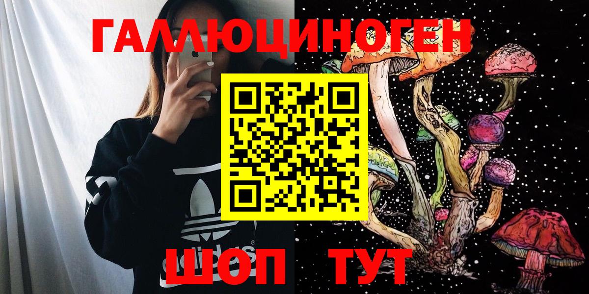 Псилоцибиновые грибы Cubensis Шатура